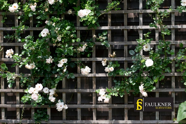 Can I put trellis on my Neighbours garage wall? 2 Do you want to adapt your neighbours garage door and add a trellis Croydon? Talk to Faulkner Surveyor Croydon